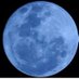 bluemoon (@bloomooon) Twitter profile photo bluemoon (@bloomooon) Twitter profile photo