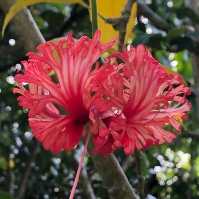 A_A_2pengin's profile picture. 毎日ワクワク生活しよう🫶🏻