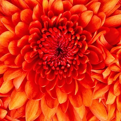 madams1223's profile picture. 