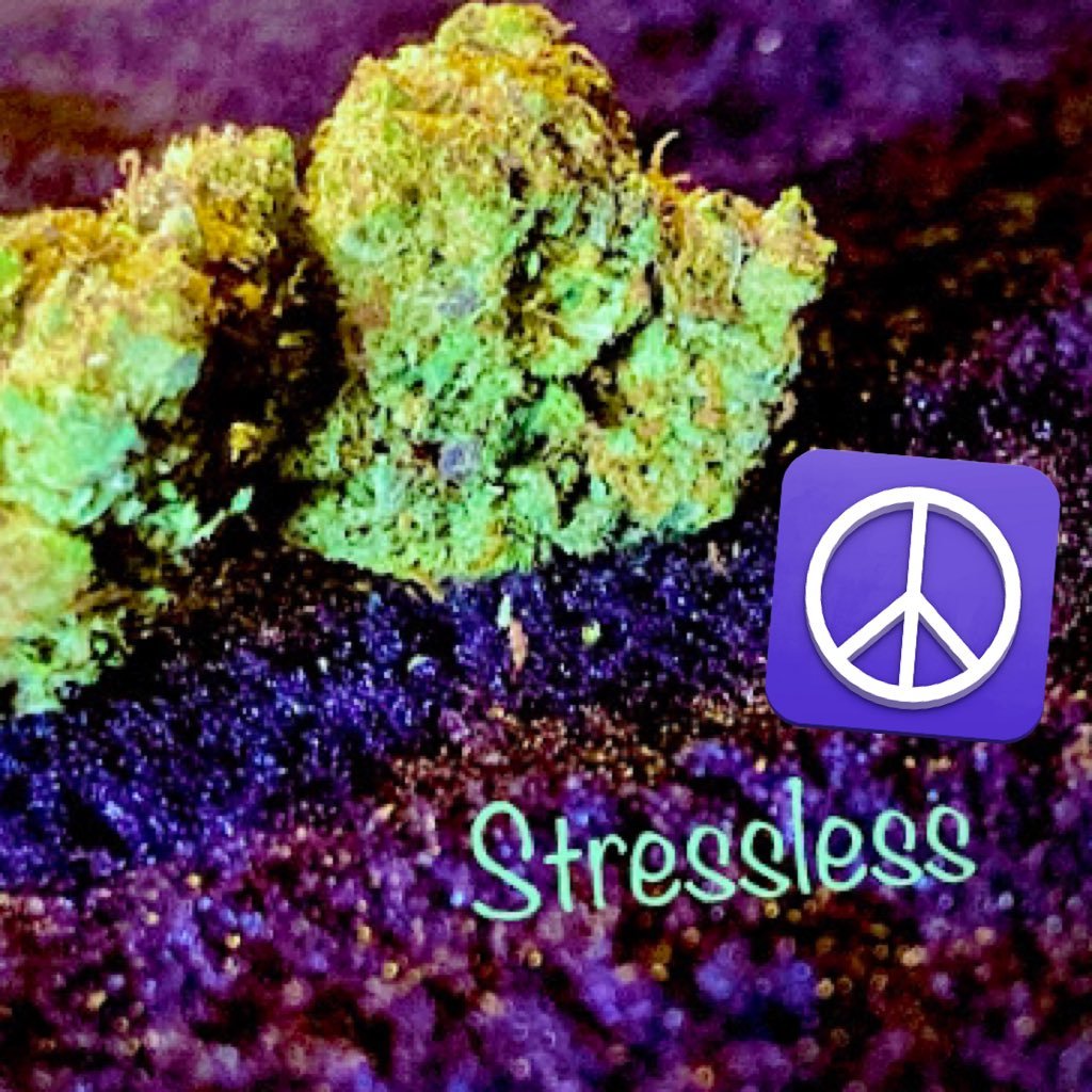 William99720333's profile picture. 