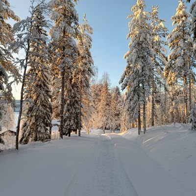 Yrkesmässigt fokus digitala möjligheter. Privat digitaliseringspositiv men socialamedierambivalent