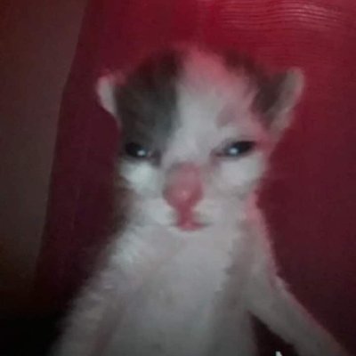 WilmerDAB2's profile picture. Cuenta INACTIVA

Cuenta en uso @WilmerDAB