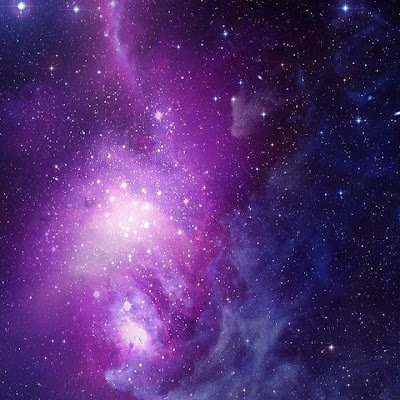 max_knauss's profile picture. 