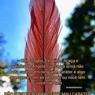amar é viver viver e amar a si mesma.