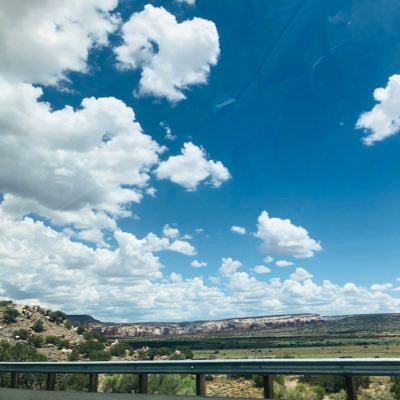 WajihaAlmas's profile picture. 