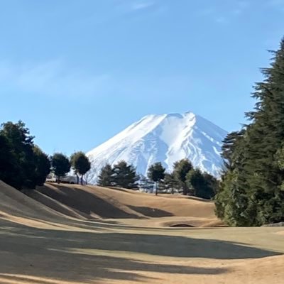 chihiko0884's profile picture. 