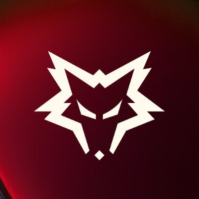 DireWolvesLIVE Profile Picture