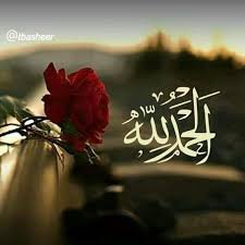 BurhanR29's profile picture. Nothing heavy,this is light work😅