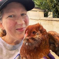 Chicken Mom, ER RN(@DiSportsMom) 's Twitter Profile Photo