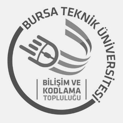 Bursa Teknik Üniversitesi