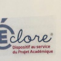 Éclore Thouars (@eclorethouars79) 's Twitter Profile Photo
