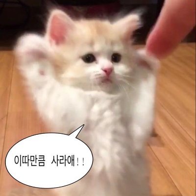 엘피스계!!/트친 환영/찐따니까 많이 다가와주세요....