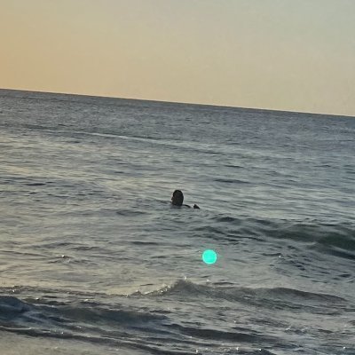 EspinalMarle's profile picture. Madre, esposa y tía. Amante de las plantas y de los perros. Defensora de las buenas costumbres y de la moral