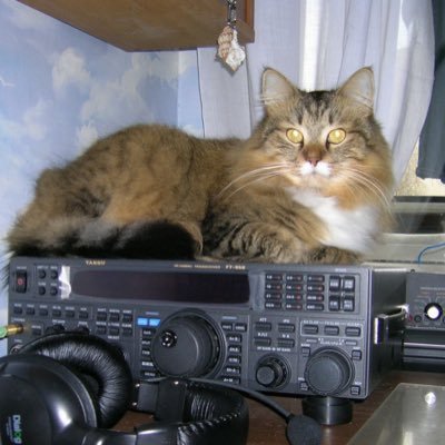 gjalehanas's profile picture. @cancercoded 's bot of things i am fond of every half hour