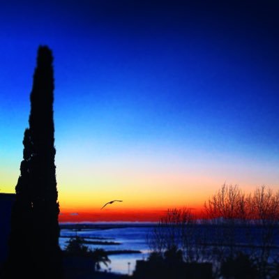 SasurainoDeDe's profile picture. 河内のおっさん。無言フォロー失礼します🙇‍♂️