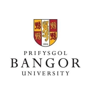 Bangor English Literature Profile