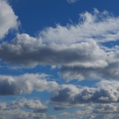 hi3sloth's profile picture. 