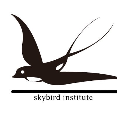 SKYBIRD Institute committed you to provide basic knowledge of computer that make student’s prove themselves. M-S Word, M-S Excel, M-S Powerpoint, M-S outlook.