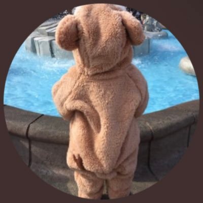 mappy333's profile picture. フォロー＆通知登録お願いします🙇‍♂️✨