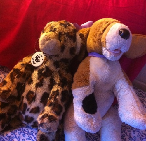 OccupyMegsBed's profile picture. We are stuffed animals named after cake. This is the shit we overhear.