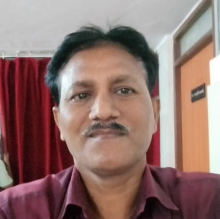 wankhedess's profile picture. journalist