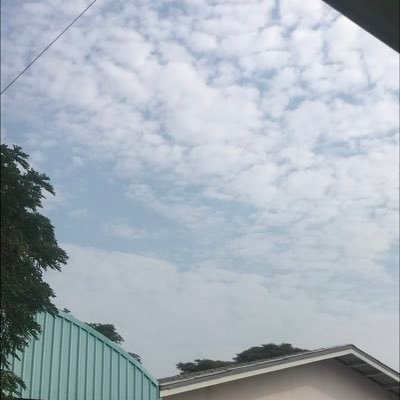 knowwhat_i1's profile picture. :(555