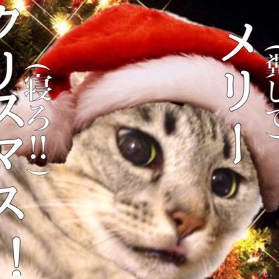 🐈(ﾈｺﾆｺﾞﾊﾝ)さんのプロフィール画像