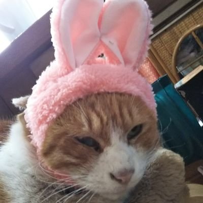 I3r30oFkG0oOqdf's profile picture. MELOGAPPAの動画と一緒に、毎日ハモっています🎵