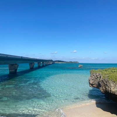 情報収集アカウント✈️🌏🏝