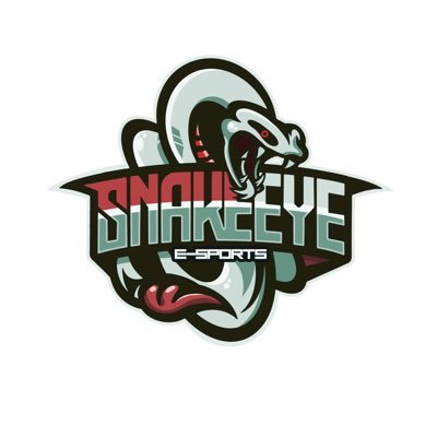 Amateur e-sports team SnakeEye Gaming 代表 公式垢→@teamSnakeEye01 荒野行動、リネレボ、陰陽師【DgG】【SEG】【Aspirations】エンジョイゲーマー。中の人→ @kouyadouhumanzi