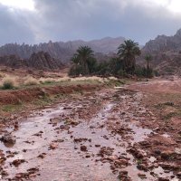 محمد الشمري (@mm9222m) Twitter profile photo