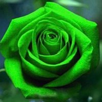 Duxbury Guidance (@duxguidance) 's Twitter Profile