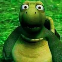 MatthewTanutan's profile picture. Freedom is a lie