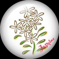 茉莉花⇪@Red.Y (@ryo_ymd_930509) 's Twitter Profile Photo 茉莉花⇪@Red.Y (@ryo_ymd_930509) 's Twitter Profile Photo