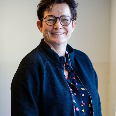 Vakdidacticus geschiedenis UU+hoofddocent curriculumvraagstukken HU. Herijking Canon. Opleiden docenten; curriculumontwikkeling; nascholing; praktijkonderzoek.