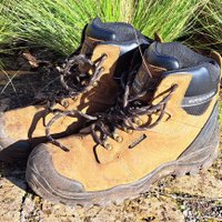 Beckenham Place Park Ranger (@bppranger) 's Twitter Profile