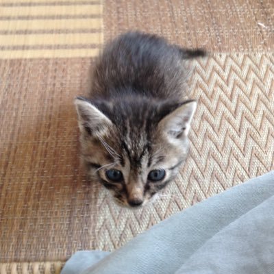 42u856ziGqDPFmD's profile picture. 