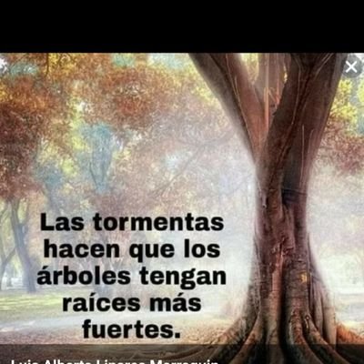 anilu2902's profile picture. médico, medicina interna, enfermedades infecciosas y parasitarias,docente,investigador