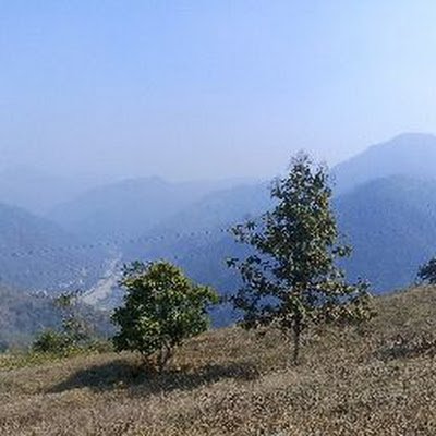 pan53431992's profile picture. 