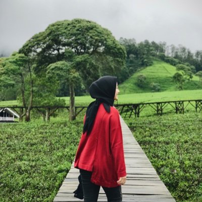 LuriSyahid's profile picture. Postdoctoral Fellow @NUSingapore