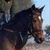Racing Pedigree (@racing_pedigree) Twitter profile photo Racing Pedigree (@racing_pedigree) Twitter profile photo