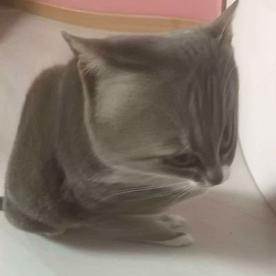 _samflem_'s profile picture. apparemment je suis de gauche mais je dirais plus que je suis là