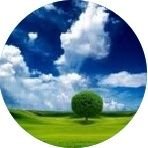 doğa (@kilimci48) Twitter profile photo