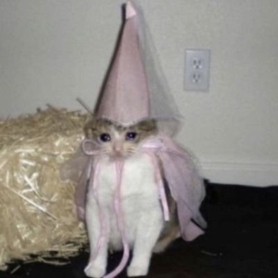 23 / ADHD / INFP-T :)
I'm a huge nerd and sprigatito stan.