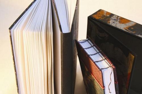 Corinna Krause Profile