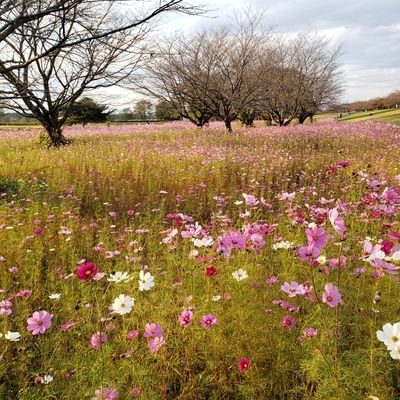 5VPY23VucSLUItj's profile picture. 