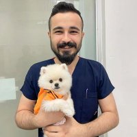 Hasan (@senolhasann) 's Twitter Profile