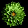 Aliabduallah0's profile picture. Interested in everything related to electronics, technology and technological development