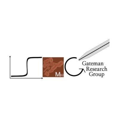 GatemanGroup Profile Picture