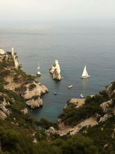 SnritaRosita's profile picture. SLP and ice cream lover with a political and social conscience